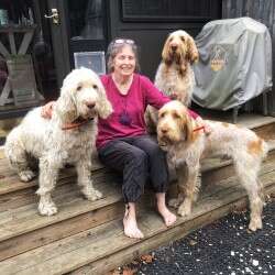 A headshot of PJ Hamel and her dogs